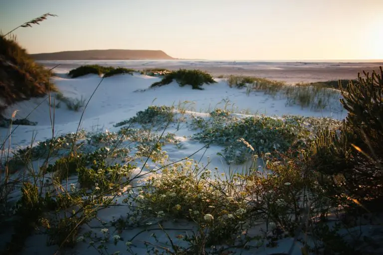 Luxury South African Destinations
