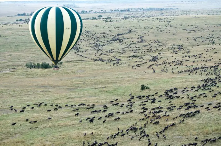 Tailor Made African Tours