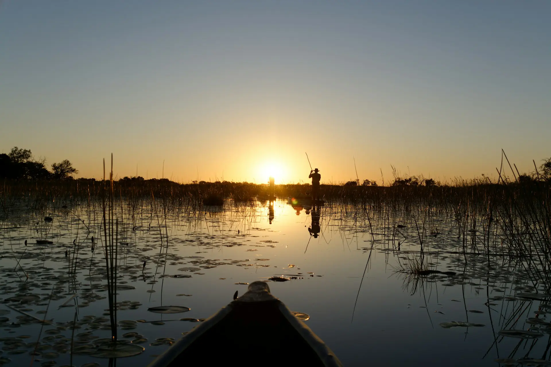 Okavango Delta Boat Safari