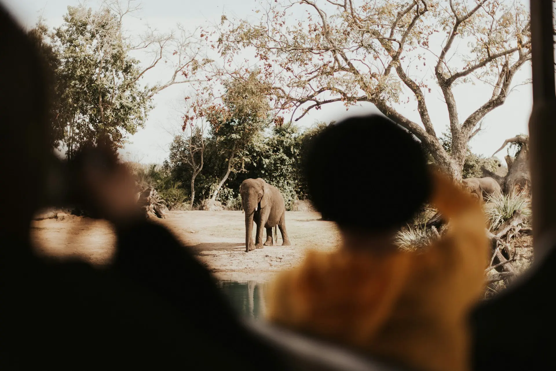 Romantic Safaris for Couples