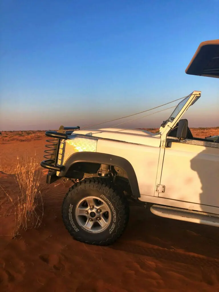 Driving Through the Kalahari Desert