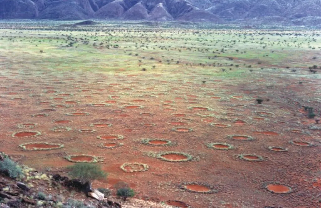 Fairy circles of Namibia