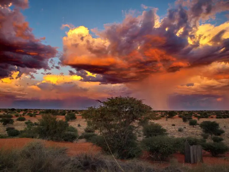 Kalahari Desert Landscapes