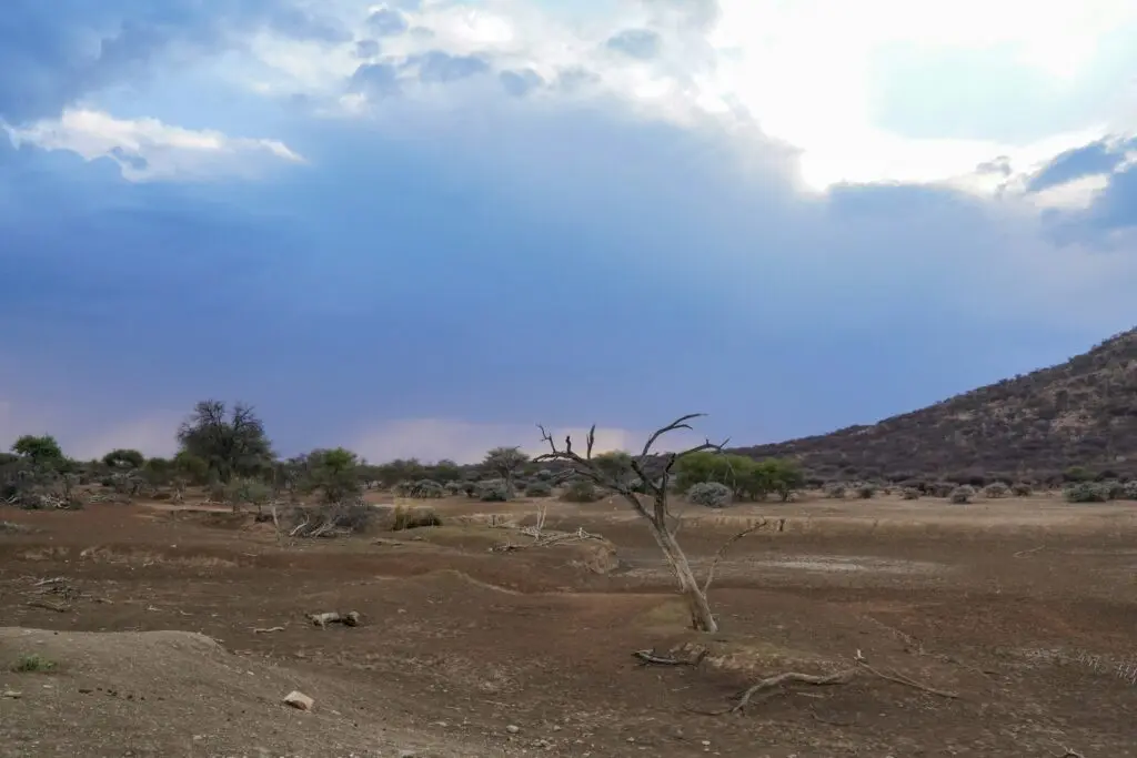 Rainy Season in Namibia