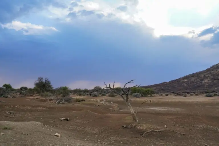 Rainy Season in Namibia