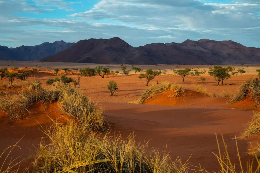 The Namib Desert