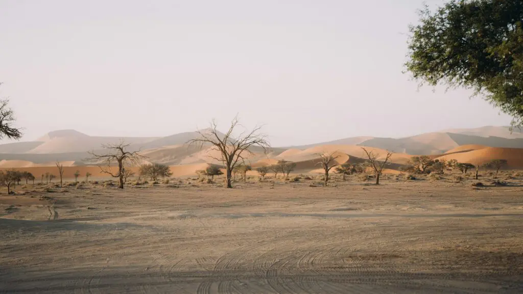 Damaraland Namibia