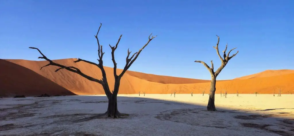 Deadvlei