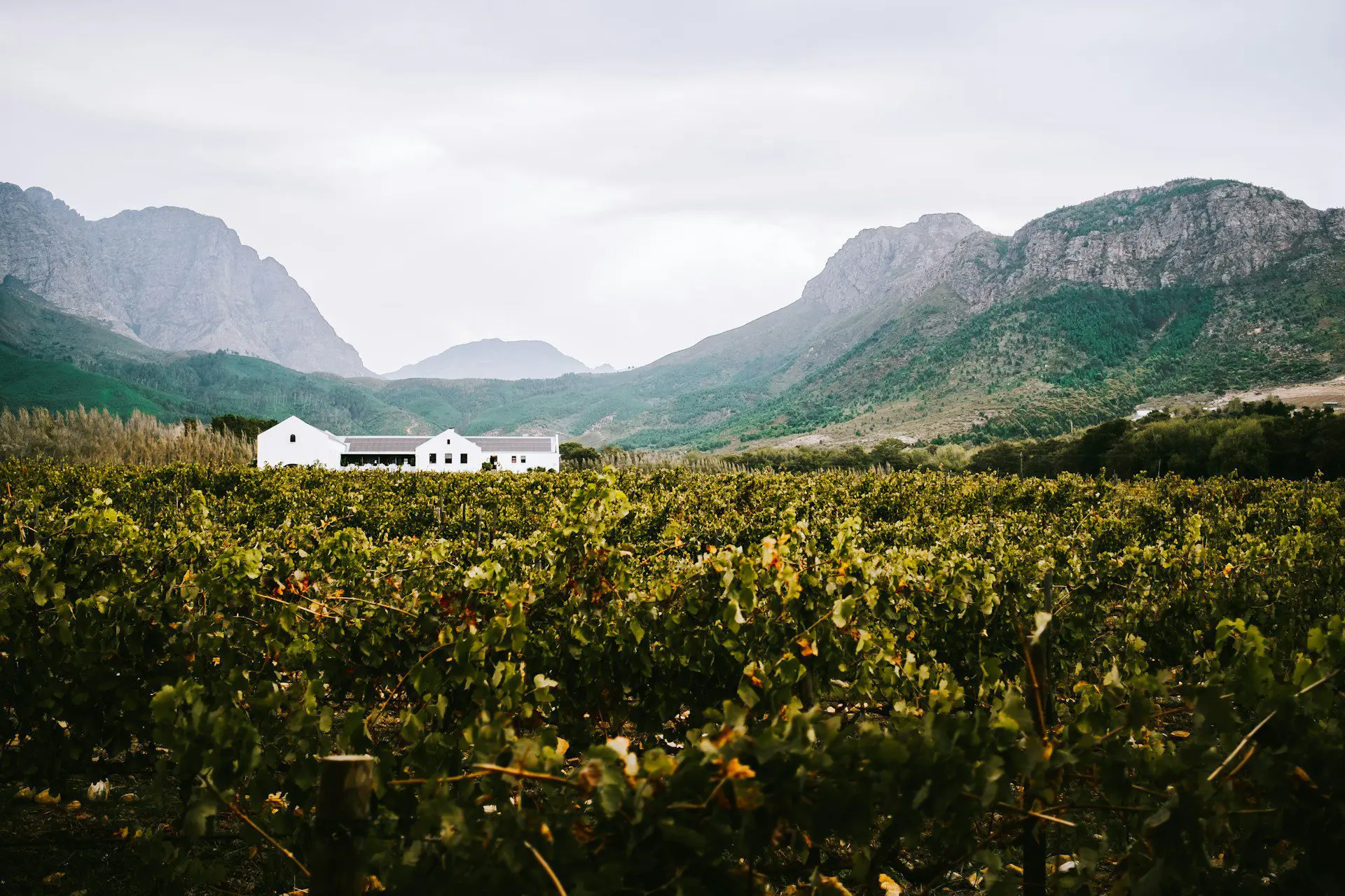 Family Safari in Africa - An Honest Guide for Parents 17 Holden Manz Country House Franschhoek South Africa