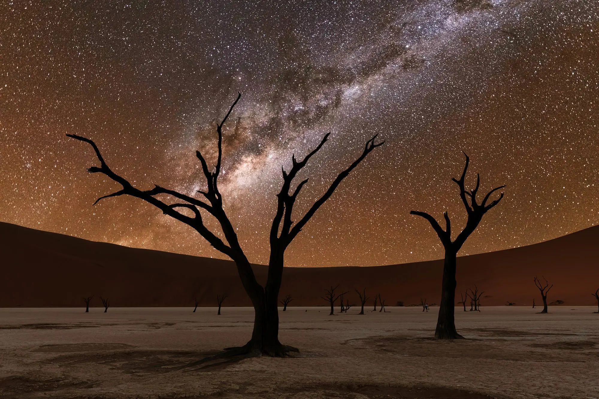 Ancient trees stand tall at Deadvlei with Mily Way Sossusvlei Namibia