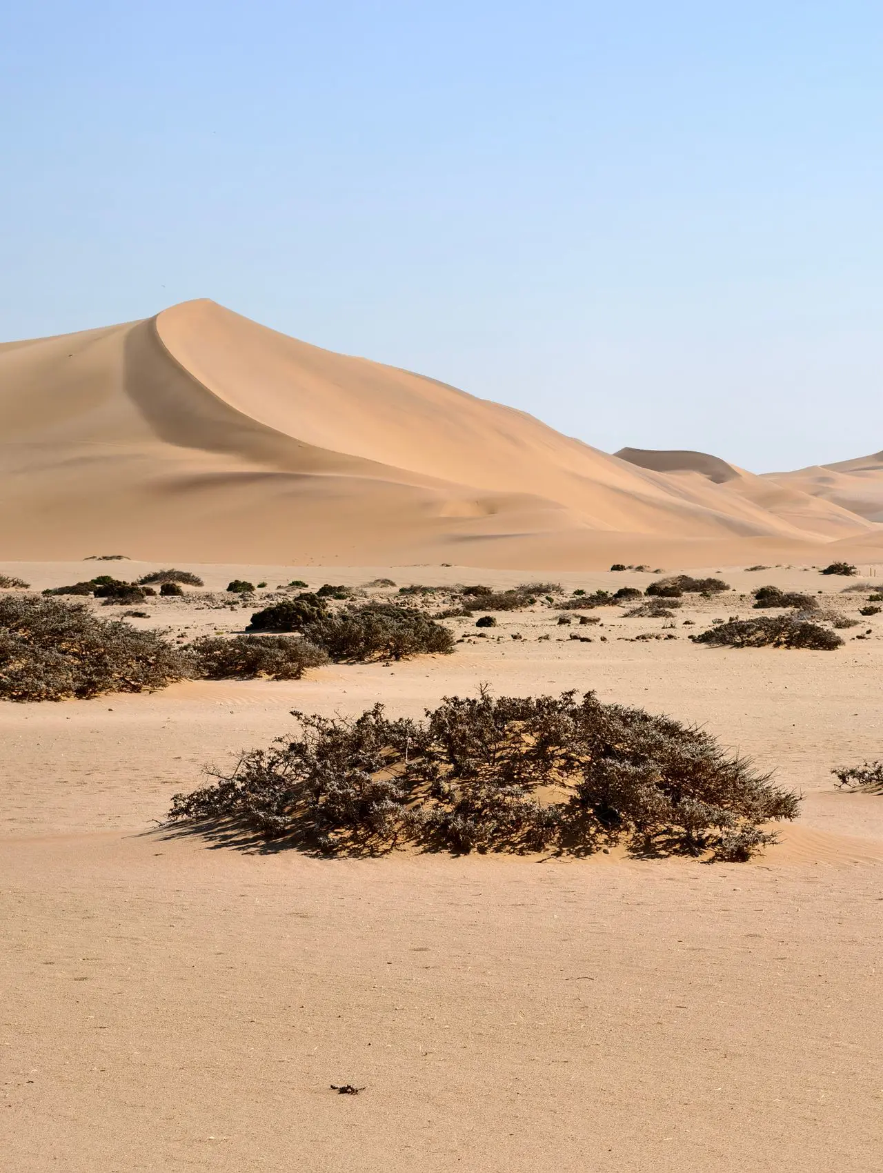Dunes in Namibia