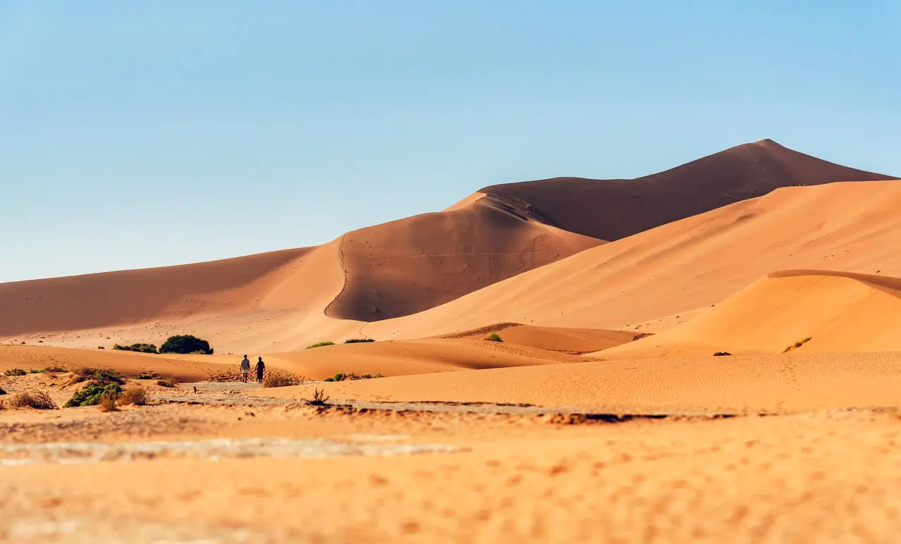 Fly In vs Road Tripping in Namibia
