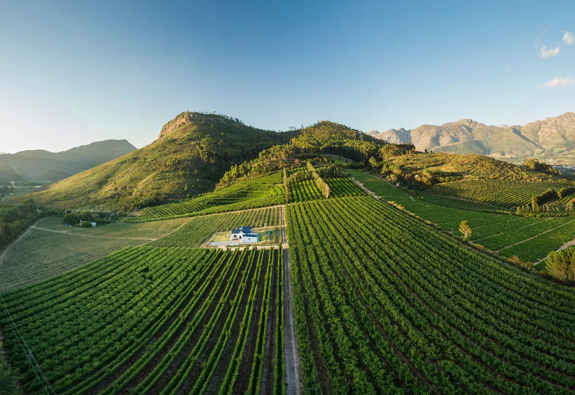 Cape-Winelands-Franschoek-South-Africa-Wine-Farms-&-Vineyards