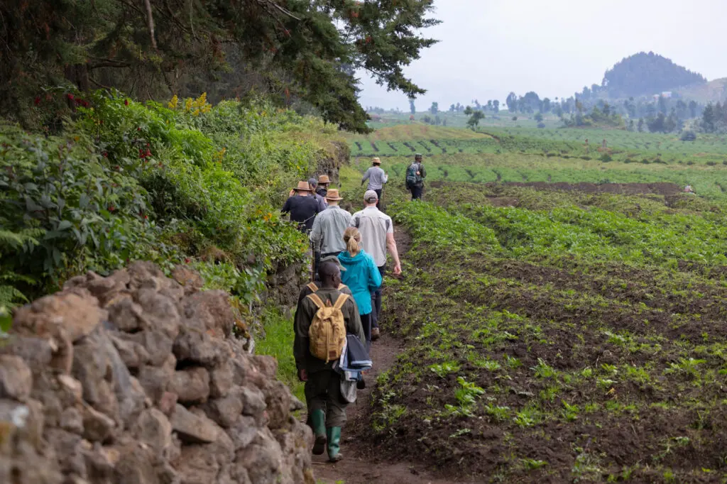 Trekker-Crossing-Farms-in-Rwanda-In-Search-Of-Mountain-Gorillas