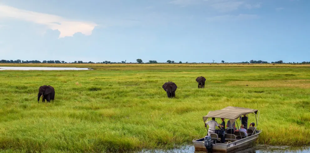 Viewing Elephants Chobe River Boat Cruise Chobe National Park Botswana