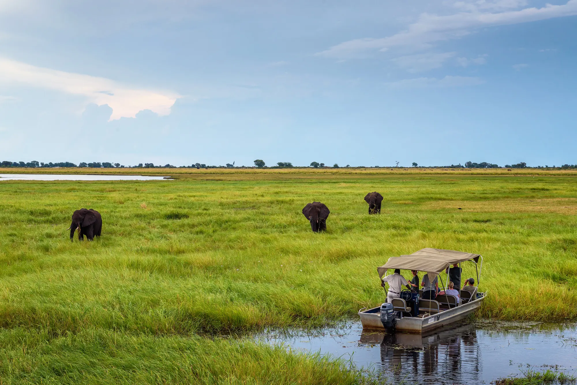 Viewing Elephants Chobe River Boat Cruise Chobe National Park Botswana