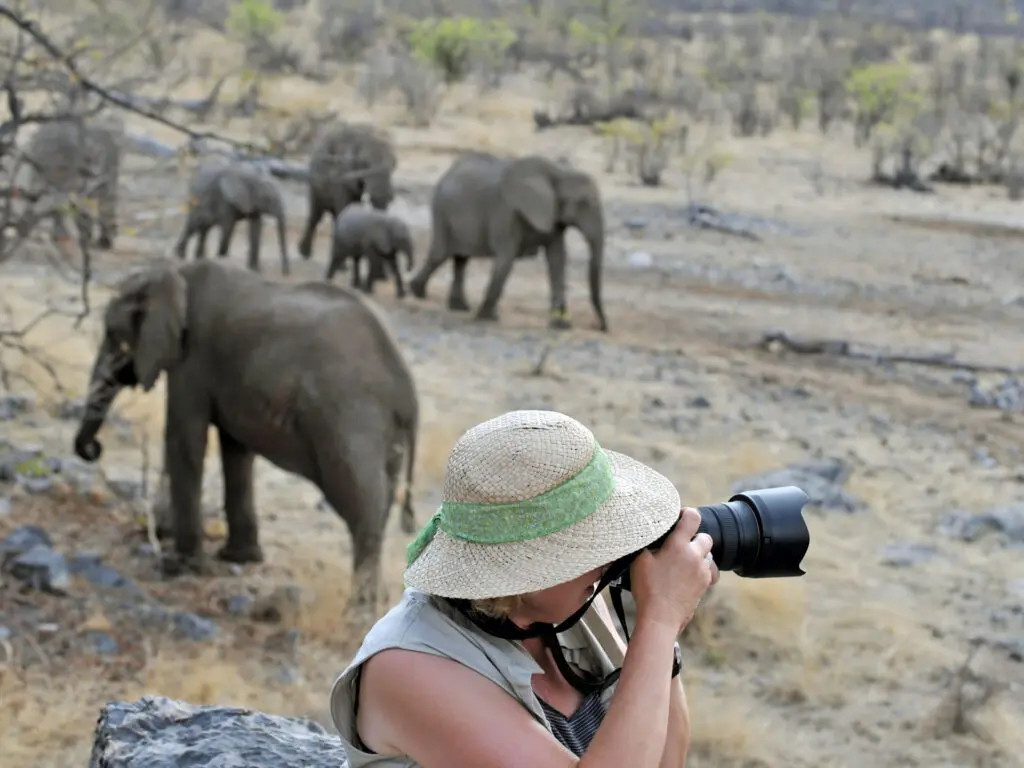 photo safari zambia 1