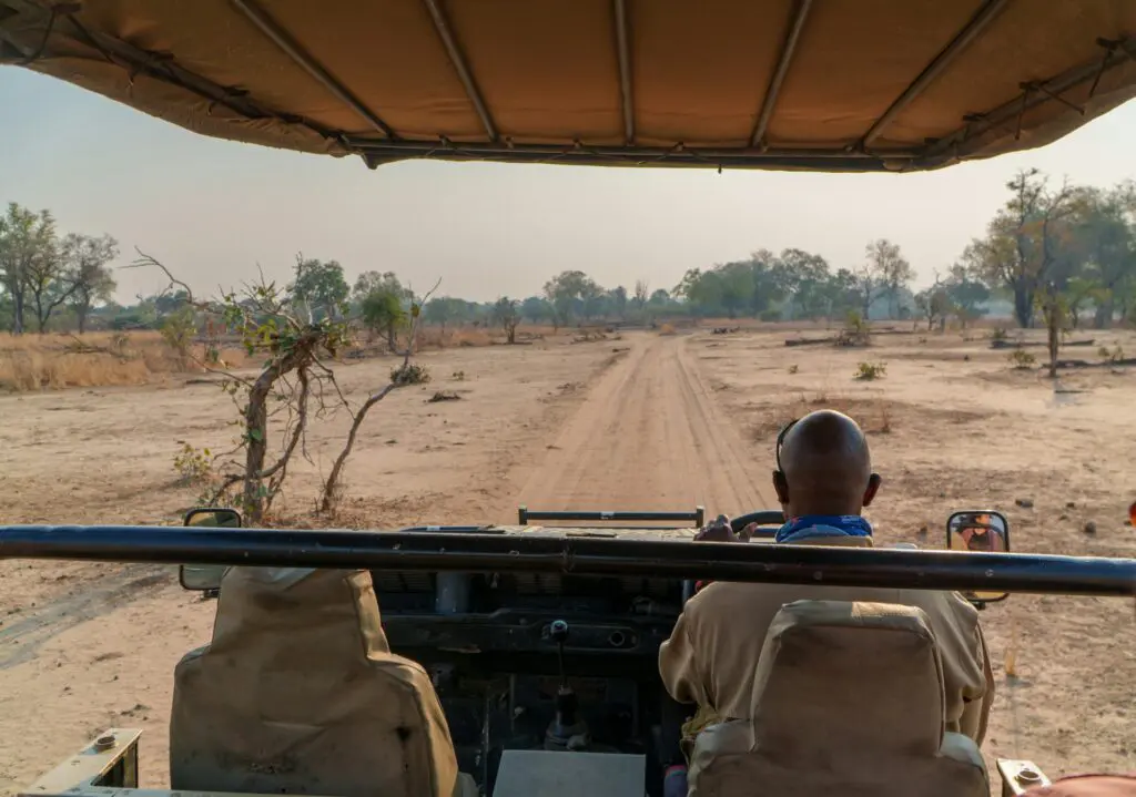Zambia Safari Game Drive