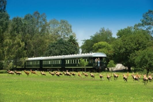 Rovos Rail - Pretoria nach Victoria Falls 12 ROVOS RAIL - PRETORIA NACH VICTORIA FALLS
