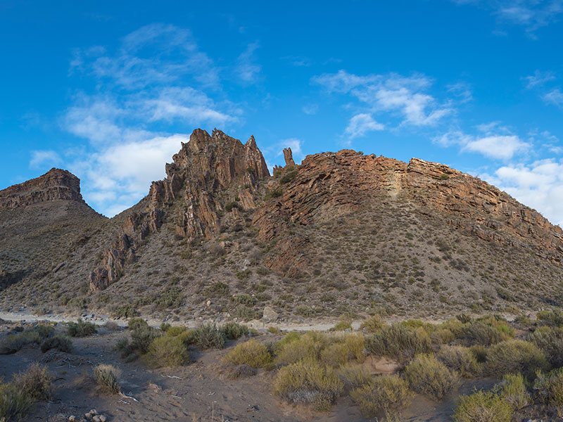 Wale und weiße Löwen 2 Schöner Landschaftsblick in Sanbona