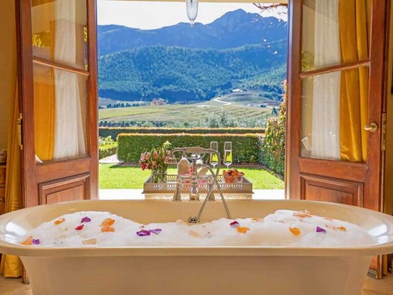 Top Luxury Safari Lodges in South Africa for 2025