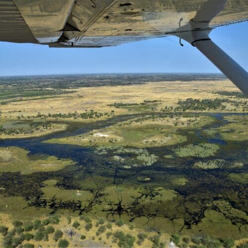 Flying over the Okavango Delta on Botswana Safaris