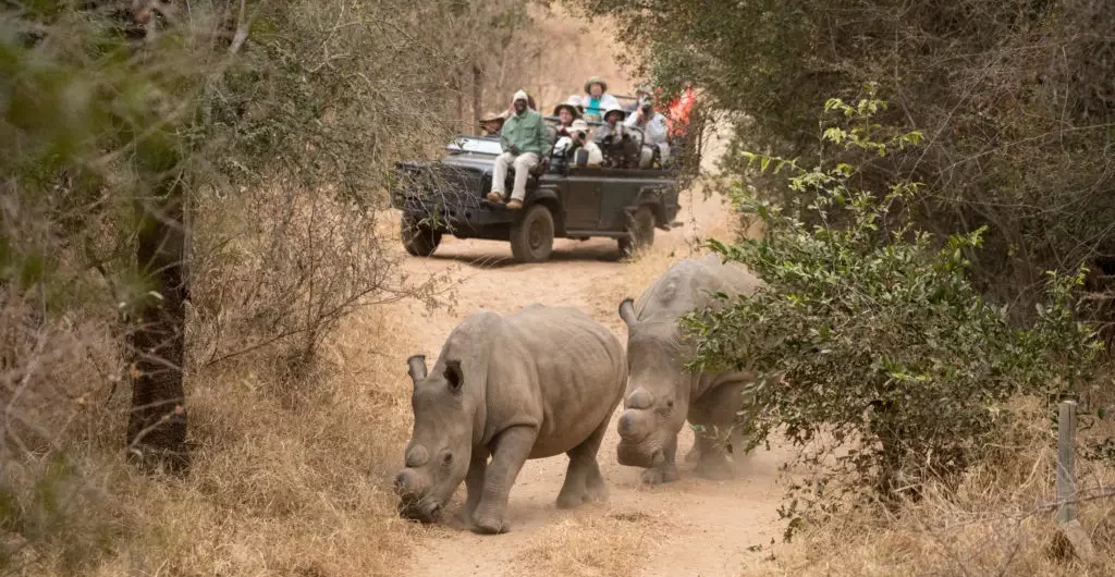 Safari in Africa at Karongwe Portfolio 1024x683.jpg