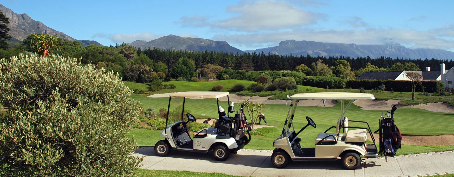 Garden Route & Addo Adventure