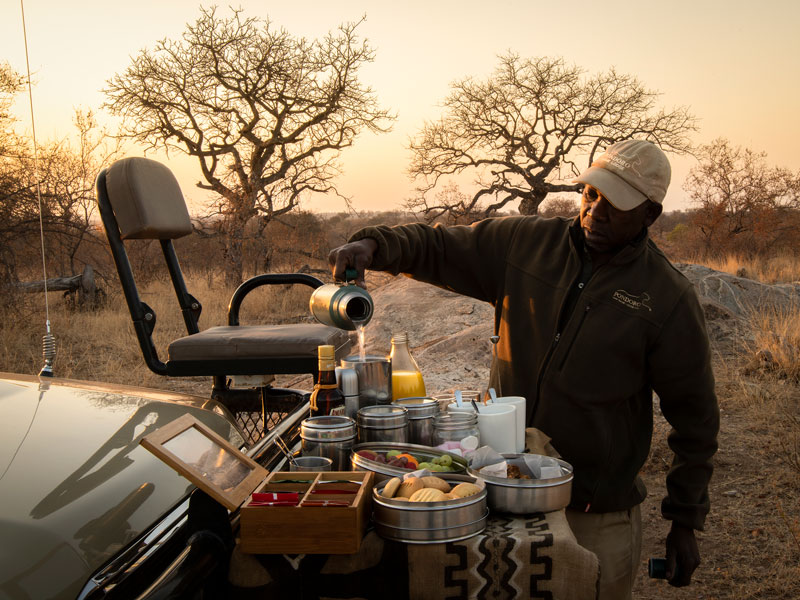 Morning Safari Coffee