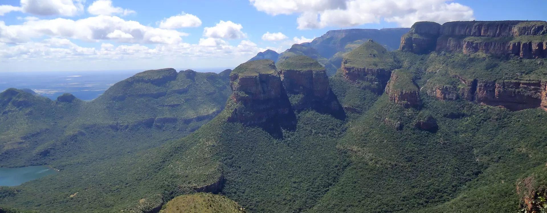 Safari, Wine & The Mother City