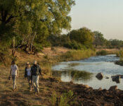 Wander-Safari-Fluss