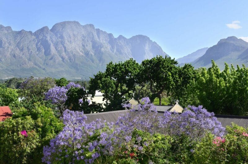 Franschhoek Boutique Hotel View From Rooms 1 scaled 800x530 1