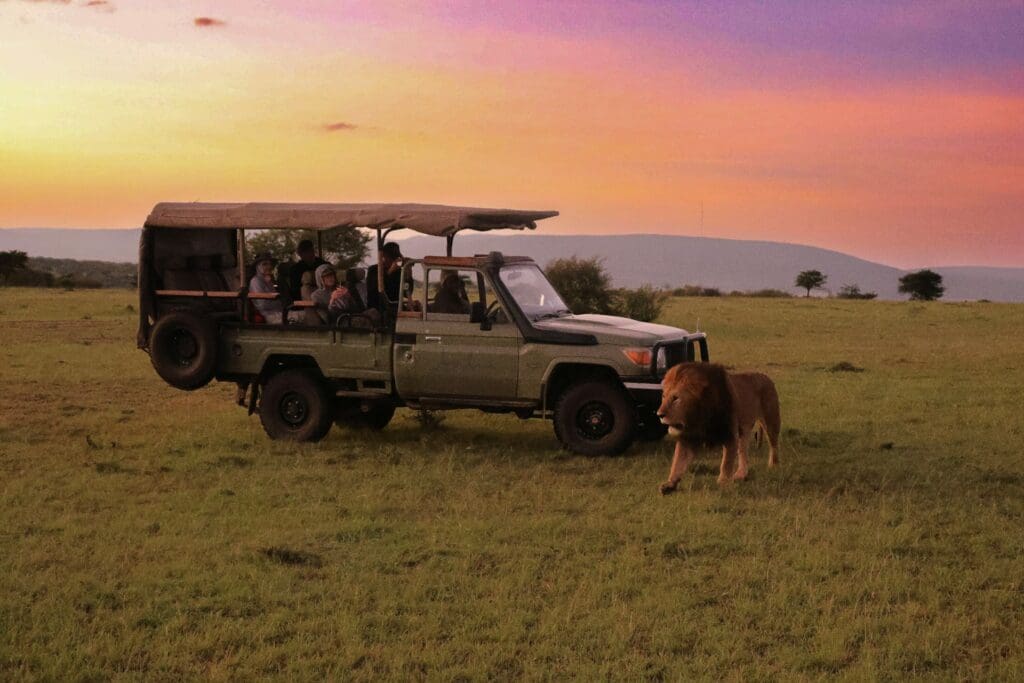 2025 Africa Safaris