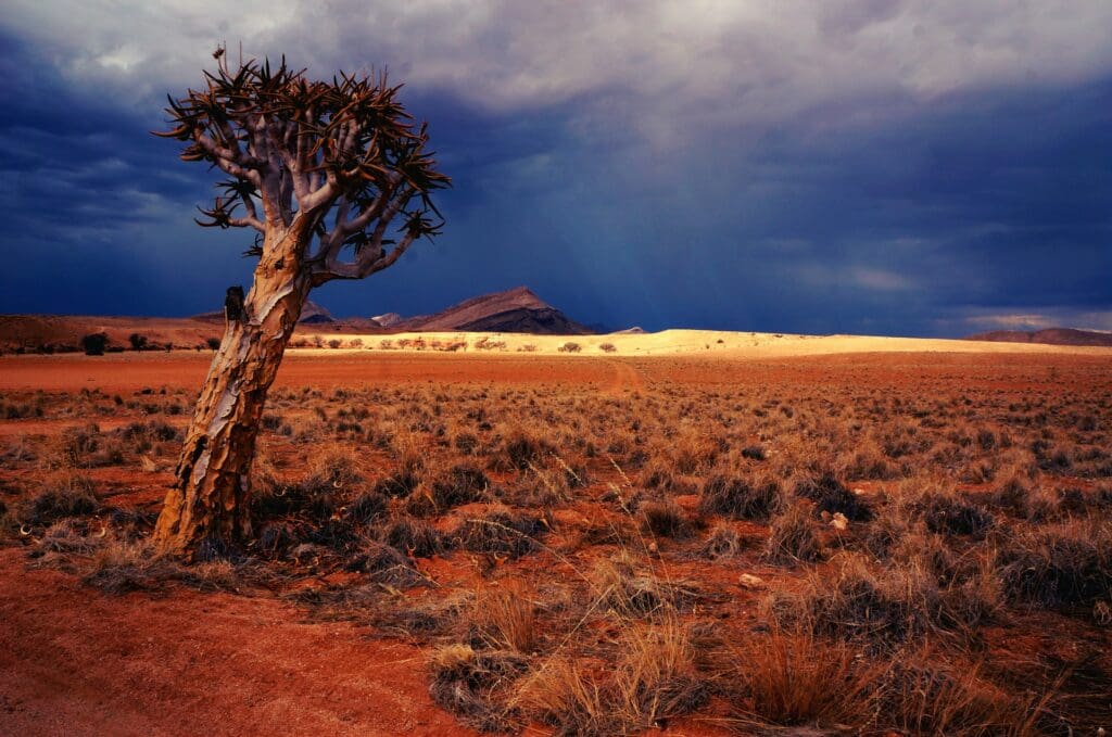 Landscape in Namibia
