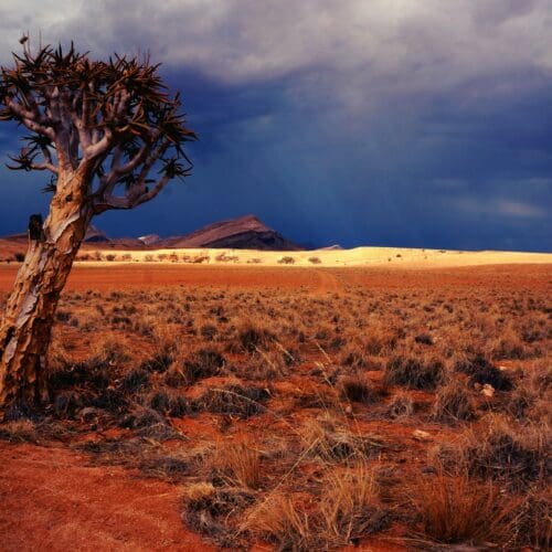 Landscape in Namibia
