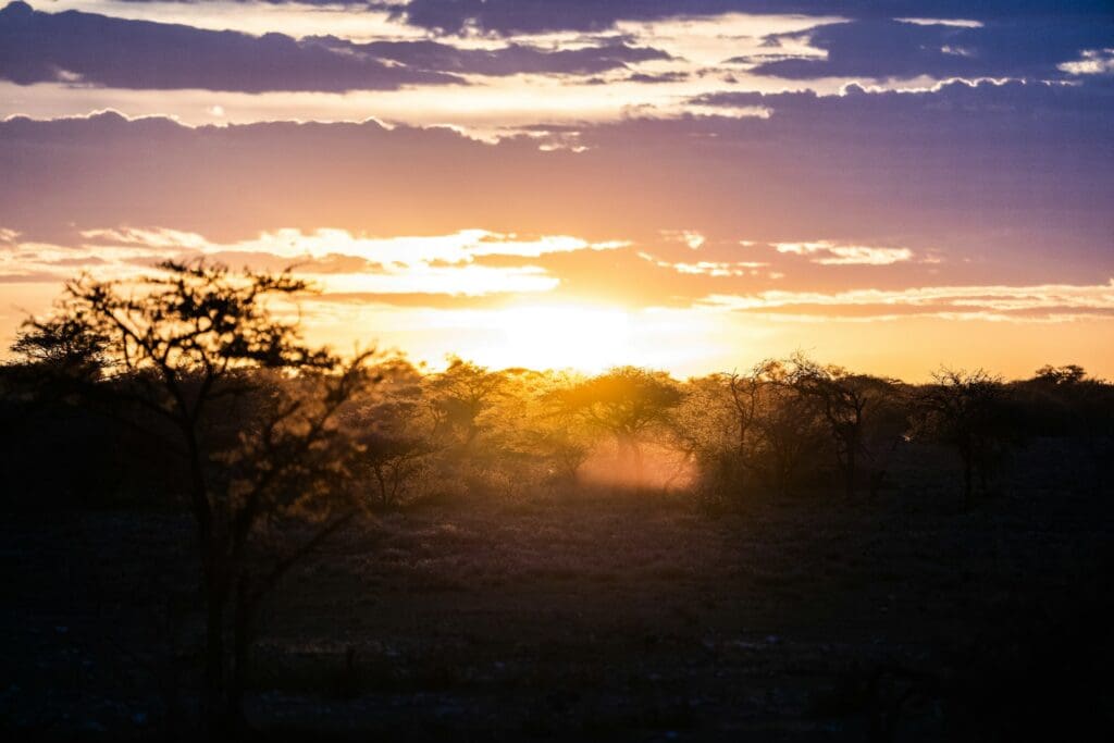 Sunset on a Namibia Safari