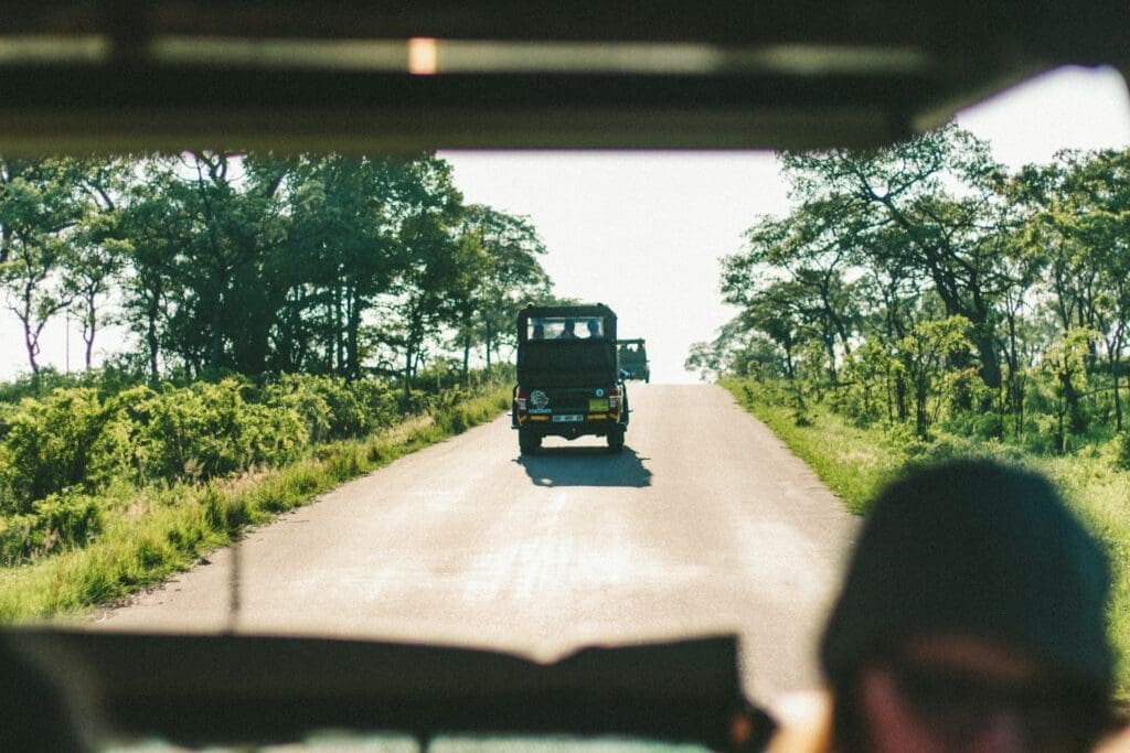 Luxuriöse afrikanische Safaris im Krügerpark