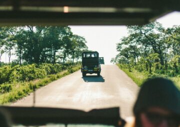 Tips for Planning a Kruger Park Trip