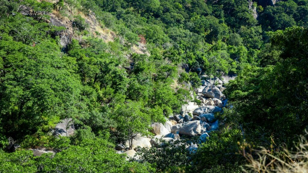 Mulanje-Wanderweg in Malawi