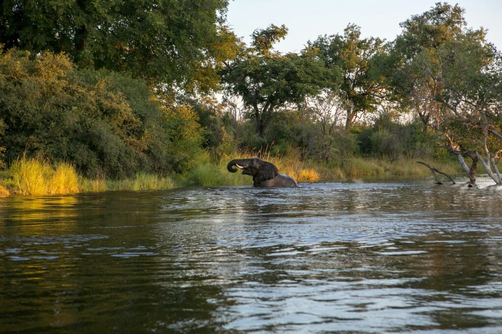 Zambia Hiking Trails
