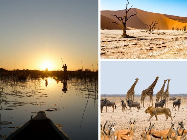 Botswana vs. Namibia