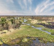 Okavango Delta