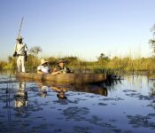 Mokoro Okavango Delta