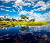 Okavango Delta