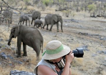 Photo Safari with Elephants