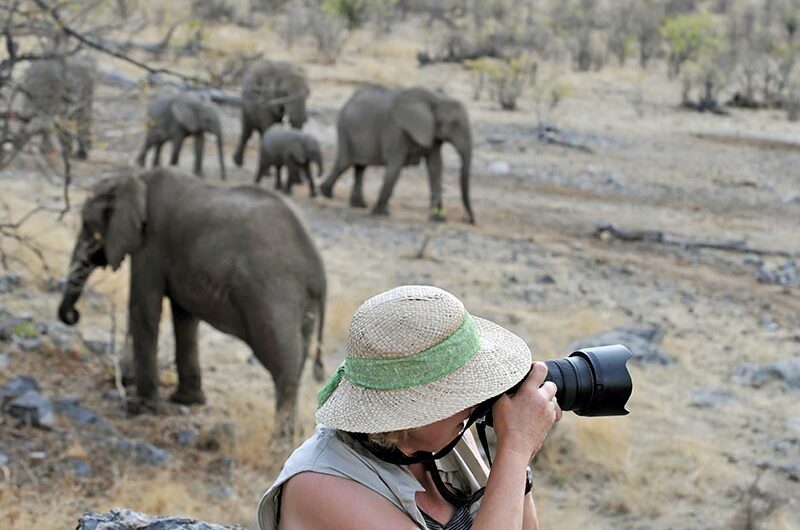 Fotosafari mit Elefanten