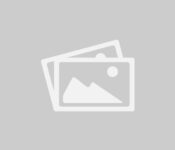 istockphoto 1147544807 612x612 1 175x150 1