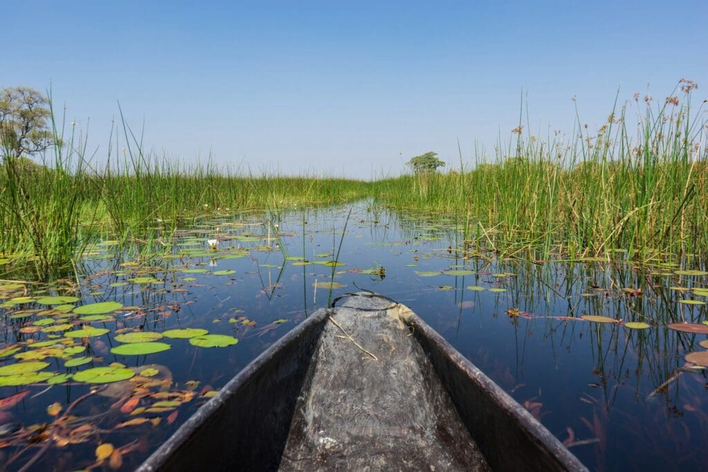 Mokoro River Safari in Botswana