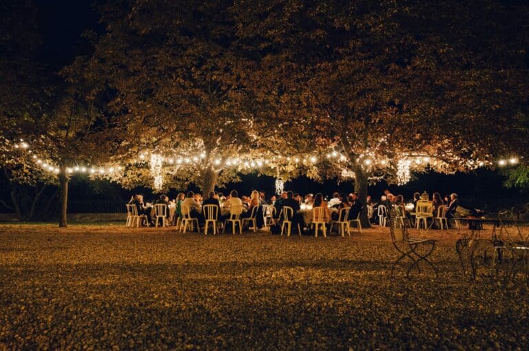 Safari Weddings - All You Need to Know
