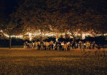 Safari Weddings - All You Need to Know